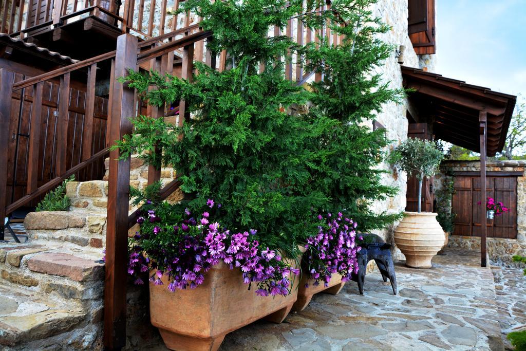 Nymfes Guesthouse Synikia Mesi Trikalon Exterior foto